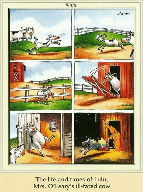 The life and times of Lulu, Mrs O'Leary's  ill-fated cow Gary Larson Far Side, Gary Larson Cartoons, Far Side Cartoons, Far Side Comics, Gary Larson, I Don't Understand, Far Side, Family Funny, Cartoon Network Adventure Time