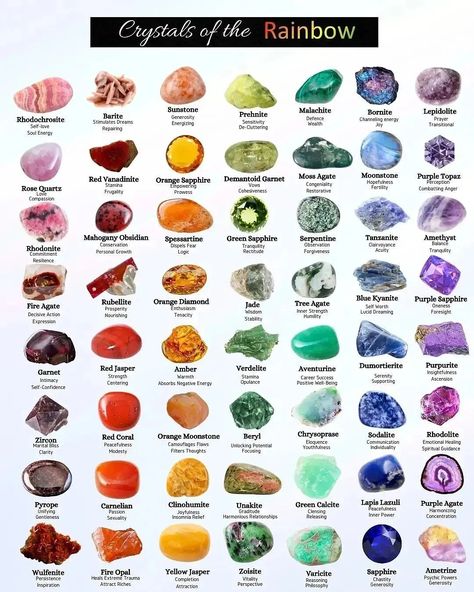 Mʏ Eꜱꜱᴇɴᴛɪᴀʟ Pʟᴀɴᴇᴛ on Instagram: “Crystals of the rainbow! Meanings & properties 🔮 Bookmark & tag a crystal lover! 😍🌈💕 . Art by 👉 @myessentialplanet 👉 FOLLOW US…” Crystal Meanings Charts, Gemstones Chart, The Crystals, Demantoid Garnet, Crystal Healing Stones, Crystal Magic, Purple Sapphire, Orange Sapphire, Crystal Meanings