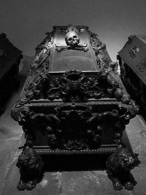 Skull casket Old Cemeteries, Cemetery Art, After Life, Six Feet Under, Gothic Home Decor, Gothic House, A Skull, Skull And Bones, Memento Mori