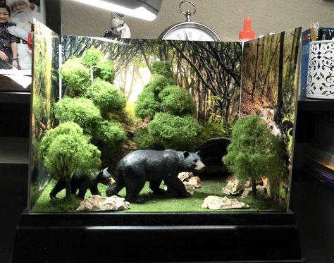 Animals that Hibernate Diorama Bear Habitat Diorama, Panda Habitat Diorama, Habitat Diorama, Grassland Habitat Diorama, Animal Science Projects, Cheetah Habitat Diorama, Hibernation Activities, Habitat Activities, Biomes Project