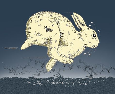 Rabbit Running, Running Drawing, Running Rabbit, Running Illustration, Alan Baker, Bunny Rabbit Art, Field Art, Rabbit Run, Rabbit Illustration