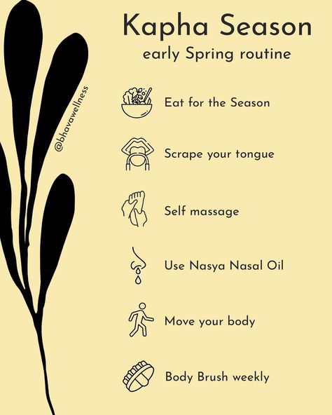 In Ayurveda, we call this special time 🌱 Kapha Season - when us and the land are slowly reawakening after a long Winter slumber. The cold, dry and slow hibernation that Winter (aka Vata Season) accumulates both in the environment and in our bodies makes us feel the urge to counter-balance those effects as 🦋 Spring arrives. As we welcome the new Season, we begin to see and feel that in order to balance the heavier, denser, thicker and oilier effects of Kapha Season, we must lighten, 🌀 clear ... Ayurveda Seasons, Ayurveda Winter, Vata Season, Ayurveda Kapha, Counter Balance, Ayurvedic Massage, Ayurveda Life, Plant Medicine, Self Massage