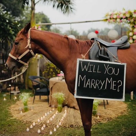 Horse Marriage Proposal, Proposal Ideas With Horses, Horse Proposal Engagement, Western Marriage Proposals, Horseback Riding Proposal, Ranch Proposal Ideas, Country Proposal Ideas Engagement, Horse Proposal, Western Proposal Ideas