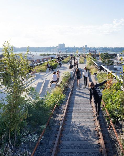 New York High Line, Park Lighting, Linear Park, Penn Station, Pedestrian Walkway, City Planner, Zaha Hadid Architects, Urban Nature, High Line