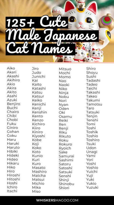 125+ Cute Male Japanese Cat Names (With Meanings) - Are you looking for a cute Japanese cat name for your male cat? Look no further! From Chibi to Mochi, Akito, Yoshi, and many more, check out over 125 cute male Japanese cat names with meanings right here! #catnames Japanese Ideas Name, Cute Japanese Pet Names, Japanese Names For Pets, Japanese Cute Name, Aesthetic Names For Cats, Aesthetic Japanese Names With Meaning, Cute Japanese Nicknames, Male Username Ideas, Japanese Names For Cats