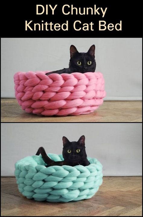 Diy Jouet Pour Chat, Kat Haken, Katt Grejer, Diy Cat Bed, Kat Diy, Chat Diy, Crochet Cat Bed, Diy Knit Blanket, Diy Cat Toys