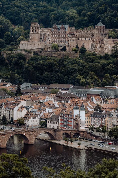 Ausblick auf das Schloss und die Altstadt vom Philosophenweg in Heidelberg Heidelberg Castle, Heidelberg Germany, Places In Usa, World Most Beautiful Place, Holiday Places, Beautiful Places In The World, Rhode Island, Vacation Destinations, Most Beautiful Places