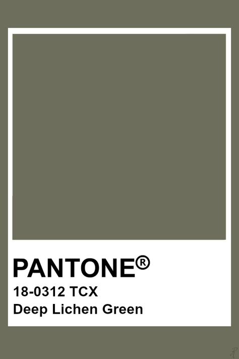 Pantone Deep Lichen Green Lichen Color Palette, Pantone Olive Green, Green Pantone Palette, Olive Pantone, Green Pantone, Brown Pantone, Pantone Tcx, Pantone Green, Pantone Color Chart