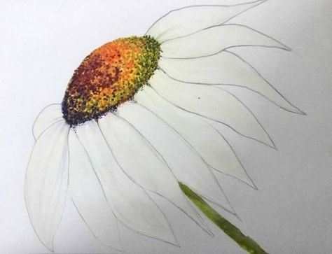 Step by step guide on how to paint a daisy using Derwent Inktense blocks and pencils by Clare Wheeldon | Derwent Inktense Pencils Art, Derwent Pencils, Derwent Inktense, Irregular Patterns, Flower Center, Draw Your, Step Guide, Colorful Drawings, Intense Colors