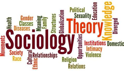 Social Science - Emile Durkheim Sociology Theory, What Is Sociology, Science Aesthetic, Relationship Meaning, Health Disease, Tag Cloud, Quiz Questions And Answers, Dissertation Writing, University Studying