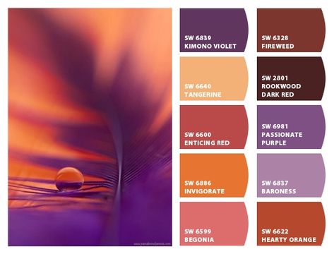 Terracotta And Purple Color Palette, Orange Purple Brown Color Palette, Color Palette Orange Purple, Orange Purple Color Palette, Urinetown Costumes, Violet Color Palette, Terracotta Color Palette, Lavender Color Palette, Southwest Colors