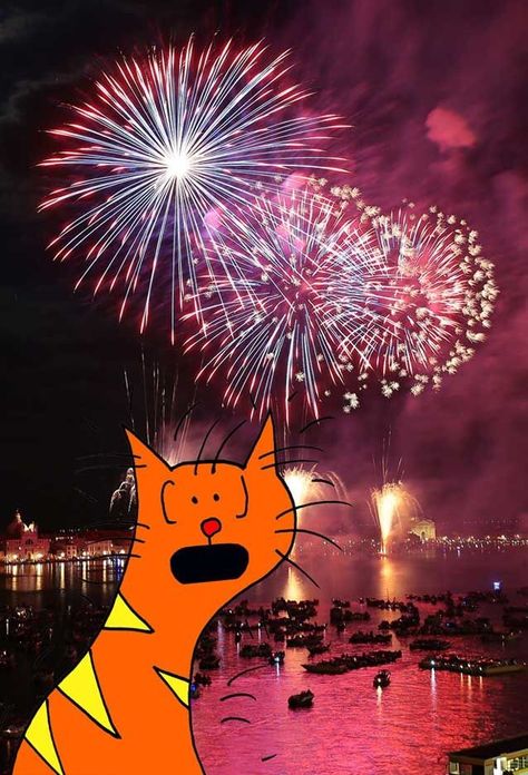 New Years Eve Fireworks, House Pets, Go Off, Pet Safe, Quick Guide, Animal House, Maine Coon, New Years Eve, Twinkle Twinkle