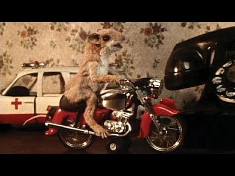 Beverly Cleary "Mouse and the Motorcycle" 1986 TV special - YouTube Mouse On A Motorcycle, Mouse And The Motorcycle, Beverly Cleary, Funny Movies, Stop Motion, School Projects, Classroom Ideas, Tv, Funny Films