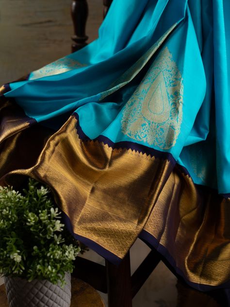 Peacock Blue Saree Silk, Sky Blue Saree Contrast Blouse Colour, Convocation Saree, Marriage Saree, Sky Blue Saree, Saree Kanchipuram, Mirror Work Saree, Golden Saree, Blue Silk Saree