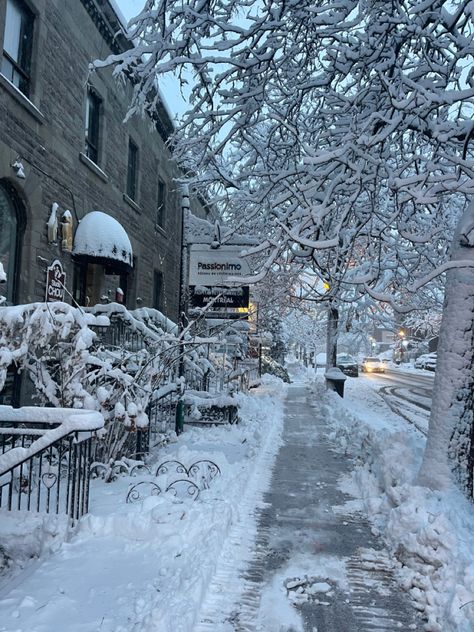 Minnesota Winter Aesthetic, Winter Walks Aesthetic, Winter Walk Aesthetic, Snow Winter Aesthetic, Walking In Snow, Winter Morning, I Love Winter, Winter Photos, Winter Mornings