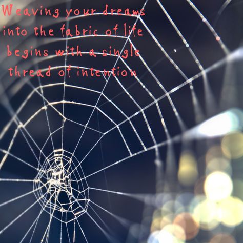 Spider Web Quotes, Spider Quotes, Mayday Parker, Web Quotes, Fate Quotes, Spider Girl, Rock Painting Ideas Easy, Rock Painting Designs, Painting Designs