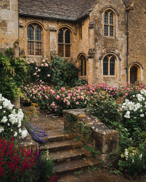 James Lloyd, Lloyd Cole, Wiltshire England, Colourful Flowers, Countryside House, English Cottage, Dream House Exterior, House Goals, English Countryside