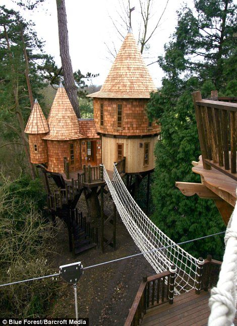 Adult Tree House, Modern Treehouse, Treehouse Living, Luxury Tree Houses, Beautiful Tree Houses, Building A Treehouse, Tree House Plans, Tree Fort, Tree House Diy