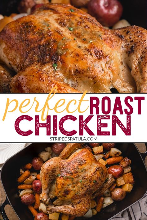 Learn how to make juicy, flavorful, golden-skinned roasted chicken every time! Roasted with root vegetables, this recipe is a one-pan meal that's perfect for chilly weather. An essential for any home cook! #chicken #dinner Chicken With Root Vegetables, Perfect Roast Chicken, Taco Mix, Spatchcock Chicken, Oven Roasted Chicken, Recipes To Make At Home, Easy Chicken Dinner Recipes, Best Food Recipes, Roast Chicken Recipes