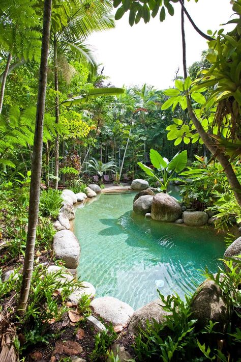 Rainforest pool at Silky Oaks Lodge, located next to the World Heritage listed Daintree Rainforest National Park, Australia Tropical Pool Landscaping, Garden Design Ideas On A Budget, Natural Swimming Ponds, Natural Landscaping, Cool Swimming Pools, Swimming Pond, Natural Swimming Pools, Tropical Pool, Diy Swimming Pool