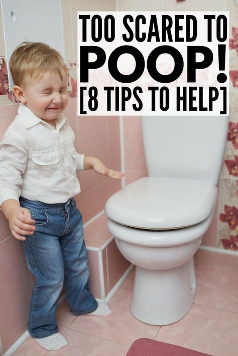 Potty Training 101, Potty Training Methods, Potty Training Help, Best Potty, Potty Training Girls, Toddler Potty, Potty Training Boys, Starting Potty Training, Toddler Potty Training