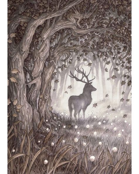 Adam Oehlers, Fantasy Forest, Spirit Animals, Fairytale Art, Animals Art, Fairy Art, Limited Edition Prints, Amazing Art, Fairy Tale