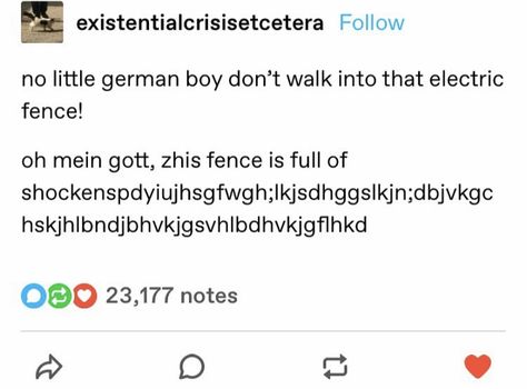 Little German Boy, German Boys, Electric Fence, Really Funny Pictures, Funny Pins, Funny Me, Text Posts, Tumblr Funny, Funny Posts