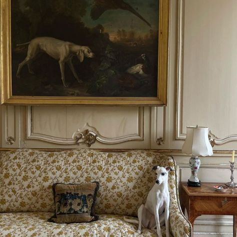 Old Money House Aesthetic, Room Interior Aesthetic, Interior Old Money, French Chateau Aesthetic, Modern Interior Aesthetic, Old Money Dog, Grey Whippet, Ralph Lauren Living Room, Old Money Living Room