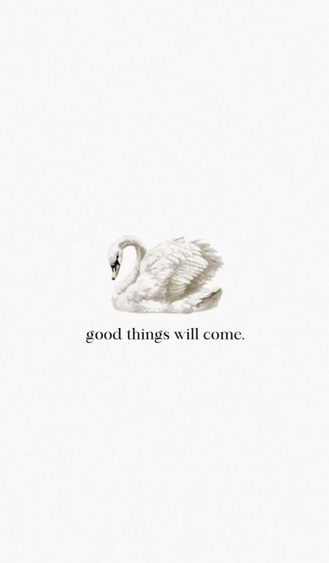 Swan Phone Wallpaper, Aesthetic Swan Wallpaper, Coquette Wallpaper Quotes, Swan Lake Quotes, Quotes Aesthetic White Background, White Aesthetic Wallpaper Quotes, Swan Wallpaper Aesthetic, White Swan Wallpaper, White Coquette Wallpaper