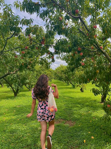 summer vibes, cute outfit, fruit picking Peach Picking Outfit, Fruit Picking Outfit, Girls Hangout, Peach Picking, Peach Orchard, Hangout Ideas, Fruit Picking, Flower Fruit, Dream Family