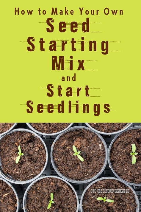 Chicken Composting, Dirt Recipe, Seed Starting Soil, Seed Raising, New Garden Ideas, Grafting Plants, Arizona Gardening, Seedling Pots, Seed Starting Mix