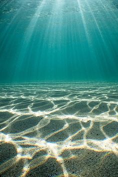 Water Refraction, Under Water Photography, Ocean Floor, New Backgrounds, Underwater Photography, Sea And Ocean, Ocean Photography, Ocean Life, Ocean Beach