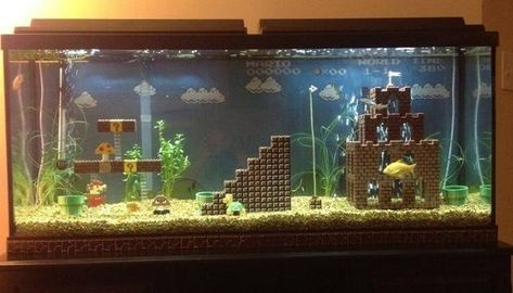 16 People Who Built Epically Geeky Habitats For Their Pets - I Can Has Cheezburger? Cool Fish Tank Decorations, Fish Tank Themes, Cool Fish Tanks, Nature Aquarium, Cool Fish, Aquarium Design, Animal Habitats, Aquarium Decorations, Fish Tank Decorations