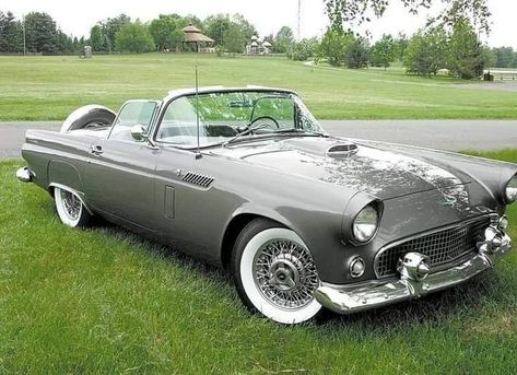 1956 Ford Thunderbird Thunderbird Car, 1956 Ford Thunderbird, Thunderbirds Are Go, Navy Aircraft Carrier, Classic Cars Trucks Hot Rods, Ford Lincoln Mercury, Navy Aircraft, Vintage Classics, Ford Thunderbird