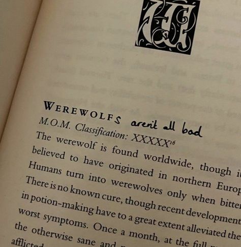 Remus Lupin Marauders Era, Remus Lupin Marauders, Remus Lupin Moony, Lupin Aesthetic, Remus Lupin Aesthetic, Howleen Wolf, Teddy Lupin, Werewolf Aesthetic, Remus And Sirius