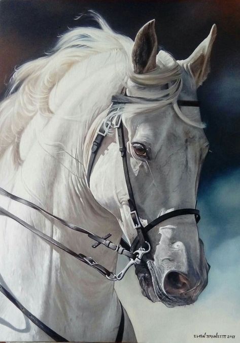 Horse art Painted Horses, Beautiful Arabian Horses, Horse Artwork, Most Beautiful Horses, Most Beautiful Animals, Horse Portrait, Majestic Horse, Horse Drawings, 수채화 그림