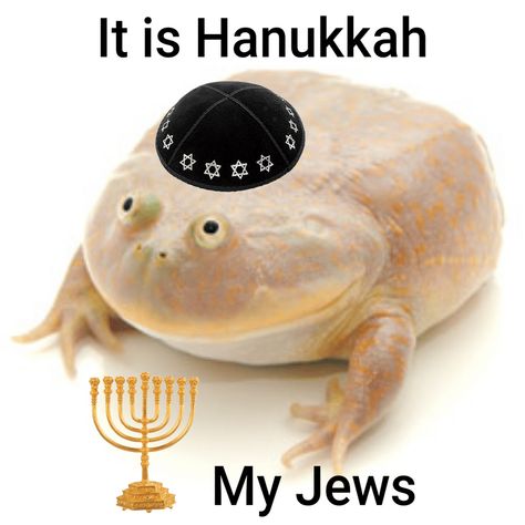 Jew Meme, Funny Hanukkah, Hanukkah Lights, Jewish Humor, Jewish Girl, Jewish Culture, Top Memes, Jewish Art, Happy Hanukkah