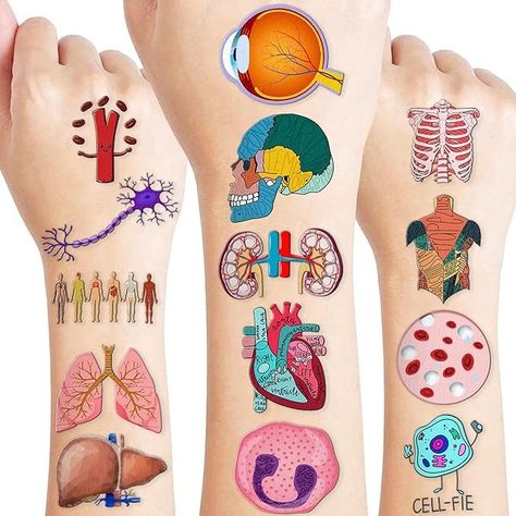 Amazon.com: 96 PCS Funny Anatomy Human Body Part Tattoos Theme Birthday Party Supplies Decorations Favors Decor Cute Brain Physiology Science Tattoo Stickers Gifts for Games Kids Girls Boys School Prizes Carnival : Toys & Games Gifts For Games, Science Tattoo, Tattoo Themes, Human Body Parts, Games Kids, Theme Birthday Party, Tattoo Stickers, Gift Stickers, Birthday Party Supplies