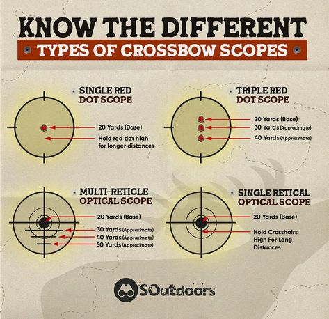 Crossbow Hunting Tips, Cross Bow, Crossbow Hunting, The Werewolf, Hunting Tips, An Arrow, Crossbow, Scopes, Safety Tips