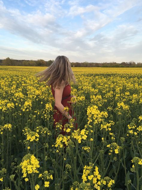 By rain Mustard Field Aesthetic, Mustard Field Photoshoot, Yellow Flower Field Photoshoot, Mustard Garden, Field Portraits, Mustard Field, Yellow Flower Photos, Canola Field, Yellow Field