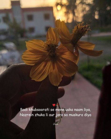 Love Shayari On Flowers In Hindi, Flower Quotes In Hindi, Shayari On Flowers, Yellow Flower Quotes, Flowers Dp, Beautiful Profile, Rose Quotes, Love Captions, Beautiful Profile Pictures