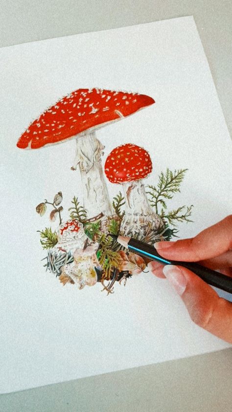 Mythical Mushrooms, Fungi Illustration, Drawing Realism, Mushroom Painting, Cherry Blossom Wall Art, Mushroom Paint, Mushroom Pictures, Amanita Muscaria, Blue Flower Painting