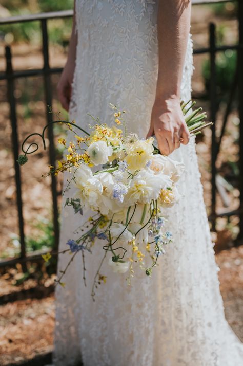 Fluffy white peonies with yellow oncidium orchids and accented with blue delphinium. Yellow Peonies Bouquet, White Yellow Blue Bouquet, Wedding Bouquet Daffodil, Light Blue Yellow Wedding, White Bouquet With Pop Of Color, Pale Yellow And Blue Wedding, Bouquet With Delphinium, Daffodil Wedding Bouquet, Yellow And Blue Bouquet