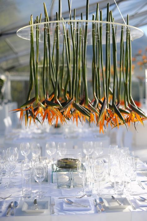 www.weddingconcepts.co.za Photo by: Jean-Pierre Uys Bird Of Paradise Wedding, Tropical Wedding Inspiration, Paradise Wedding, Flowers Hanging, Birds Of Paradise Flower, Tafel Decor, Corporate Flowers, Flower Chandelier, Floral Chandelier