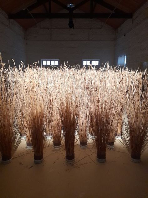 This installation is part of the artist's exhibition at the Serralves Museum, Portugal. http://www.delindro.com/ Museum Of Emotions, Burning Coal, Missions Conference, Grass Installation, Abi Interiors, Amit Aggarwal, Theatre Performance, Fall Farm, Corn Stalks