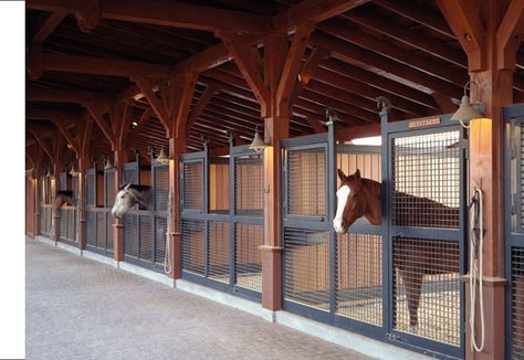 Love the openness of the stalls! Custom Horse Stalls, Horse Barn Ideas Stables, Barn Stalls, Stable Ideas, Classic Equine, Horse Barn Designs, Dream Horse Barns, Dream Stables, Horse Barn Plans