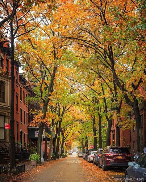 Autumn In New York, Streets Of New York, Brooklyn Heights, New York Photos, New York City Travel, New York Street, New York Travel, City Aesthetic, City Travel