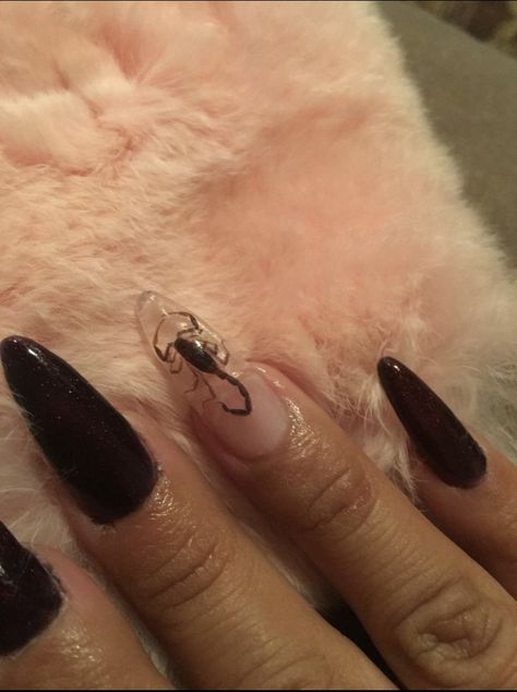 #scorpionnails#therealthing# Scorpio Nails Aesthetic, Nails For Scorpio Season, Scorpion Nail Art, Scorpio Themed Nails, Scorpion Nails Designs, Scorpio Acrylic Nails, Scorpio Nail Ideas, Scorpion Nails, Birthday Nails Scorpio