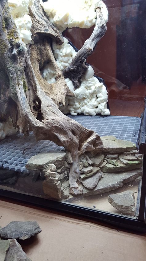 Dart Frog Vivarium, Bioactive Vivarium, Diy Reptile, Snake Terrarium, Frog Terrarium, Frog Tank, Gecko Terrarium, Fish Tank Terrarium, Reptile Room