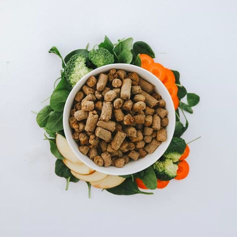 Dog Food Photography, Kitchen Photos, Dog Photography, Food Packaging, Creative Food, Dog Food, Photography Products, Raw Food Recipes, Food Styling